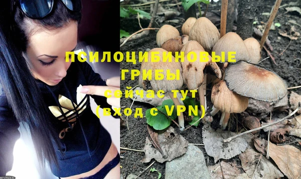 ешки Белоозёрский